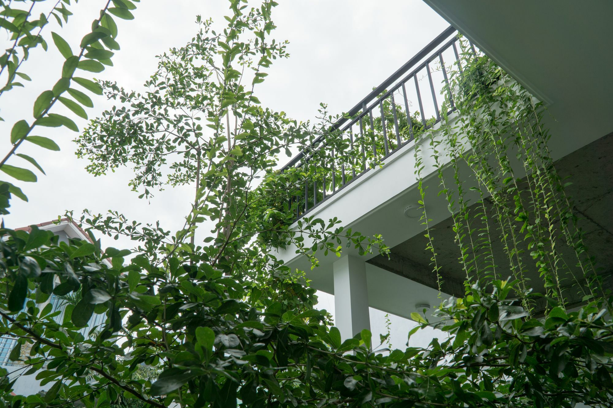 Kiu House - 3Br - Green & Artistic Дананг Екстериор снимка