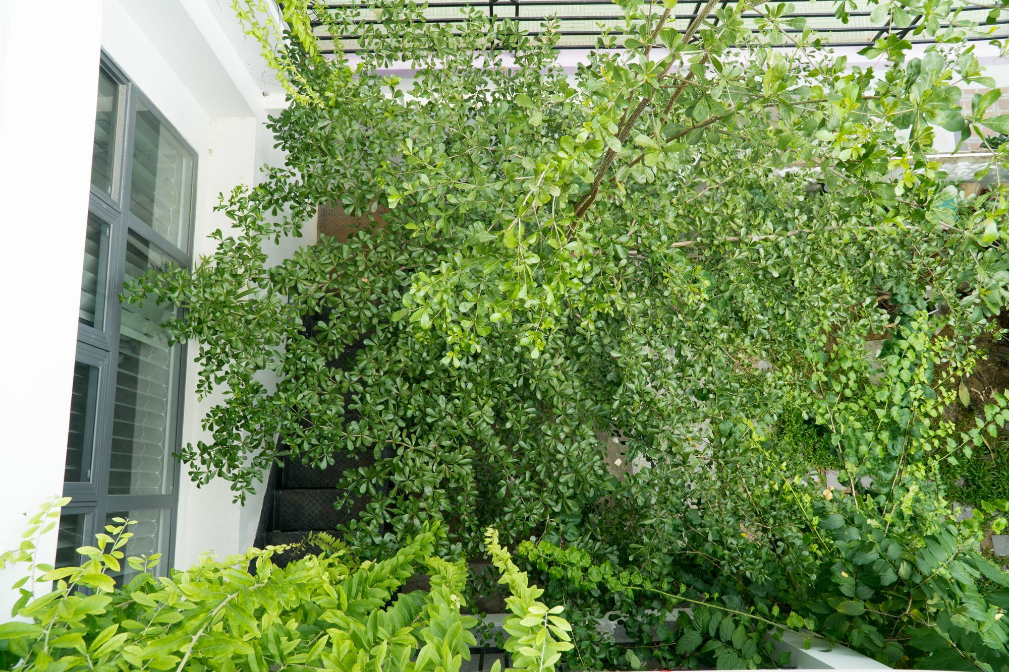 Kiu House - 3Br - Green & Artistic Дананг Екстериор снимка